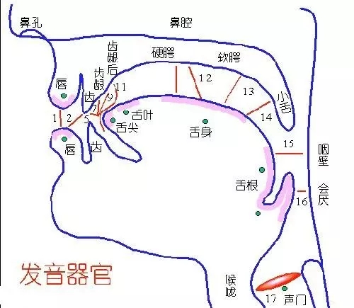 雨女无瓜,不标准的发音可能与牙缝有关哦