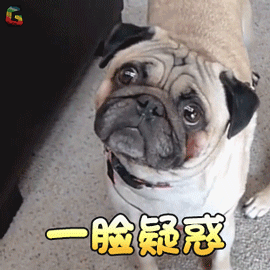 正文图片