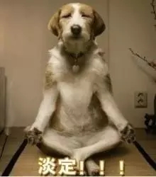 为什么说牙齿矫正会有快有慢?