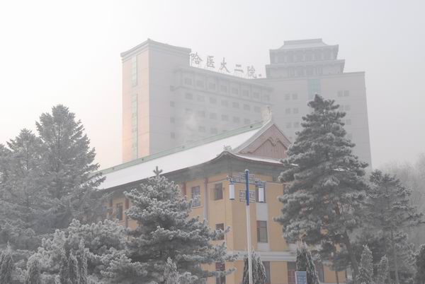 哈尔滨医科大学附属第二医院口腔科医生好吗?