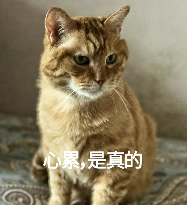 每天刷牙牙齿还变坏?原来是这一步没做好