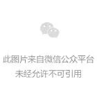 正文图片