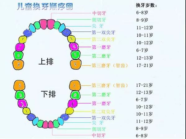 正文图片