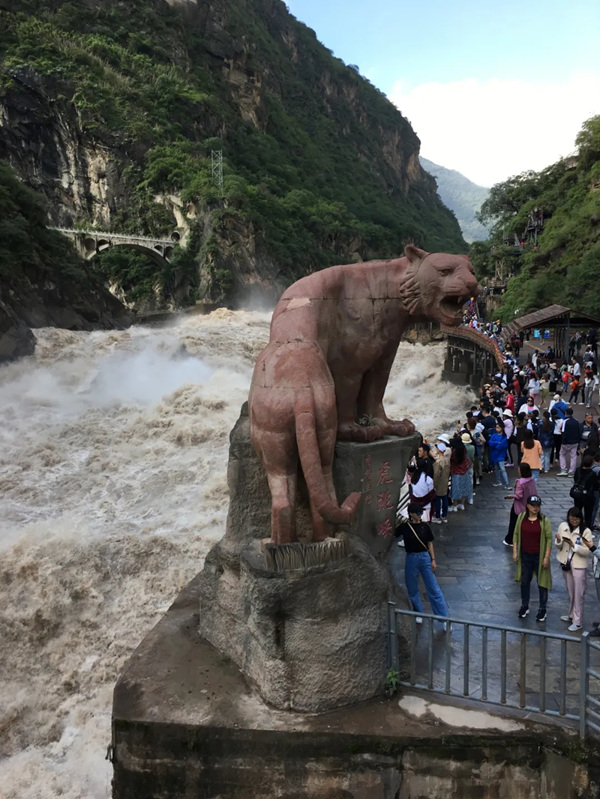 正文图片