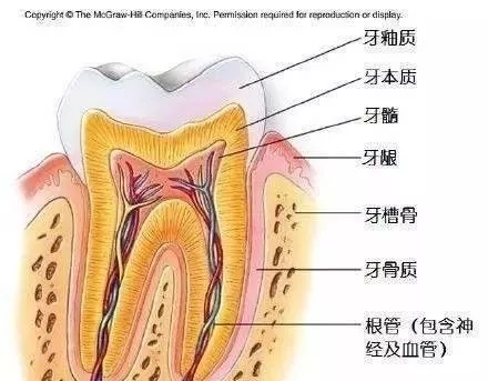 该把烤瓷牙换全瓷牙啦!(好麻烦!早知就做矫正+贴面好了)