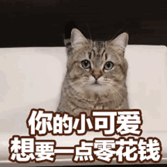 正文图片