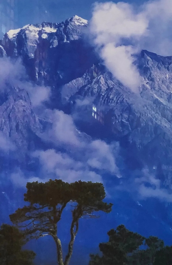 正文图片