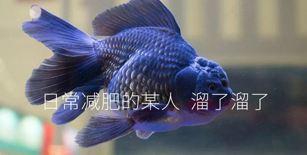 “牙套脸”是啥?为什么矫正牙齿的人都害怕
