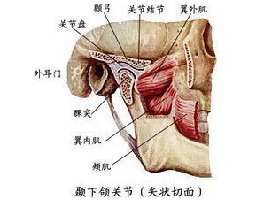 深覆颌危害